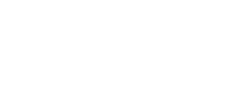 RIGLIFE